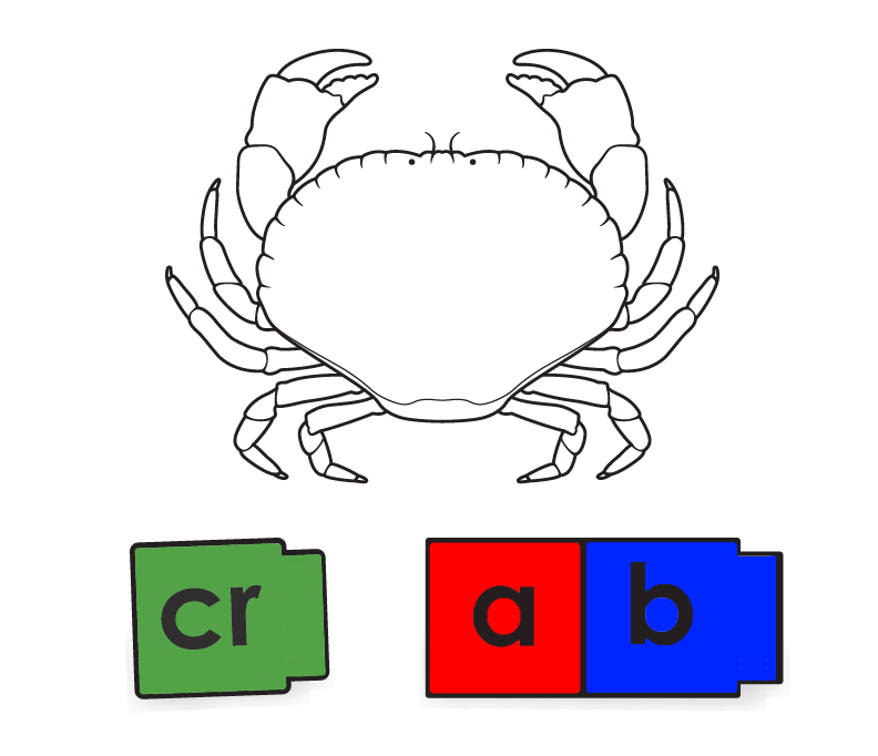 A Hands-On Phonics Learning Experience