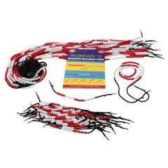 Beaded Number Line Class Set