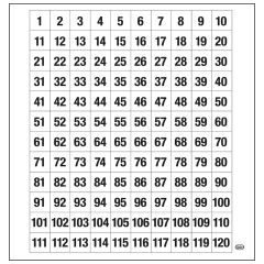 Demonstration Magnetic Dry-Erase 120 Number Board