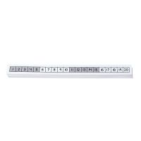Eureka Math Large Number Path. set of 25